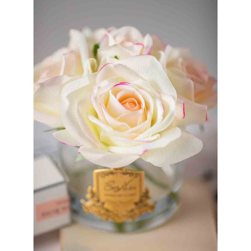 كوت نوار معطر جو 5 روز وردي بلش في صندوق وردي مع شارة ذهبية