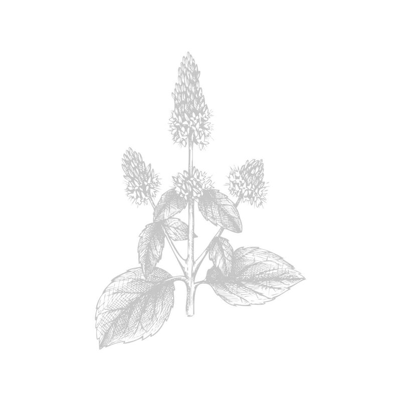 van cleef & arpels moonlight patchouli eau de parfum 75ml