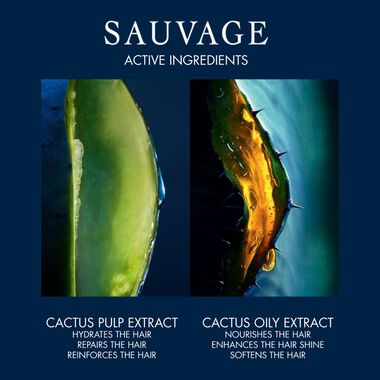 faces sauvage taming and hydrating