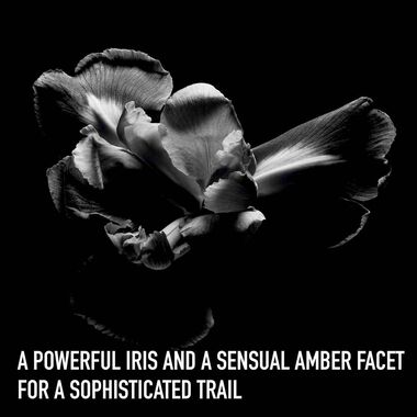 faces ديور مركّز للرجال أو  دو برفان