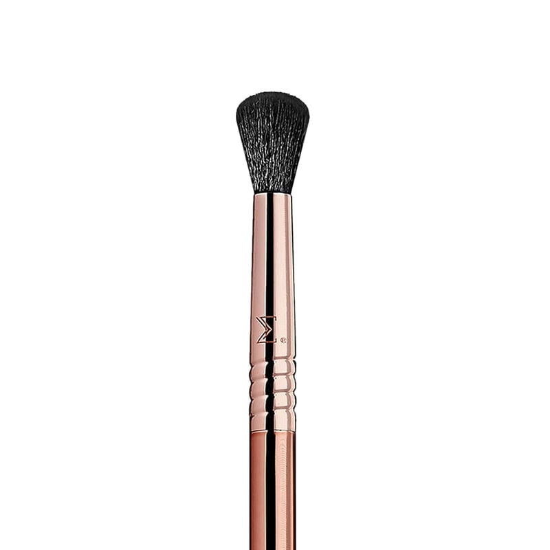 sigma iconic brush set