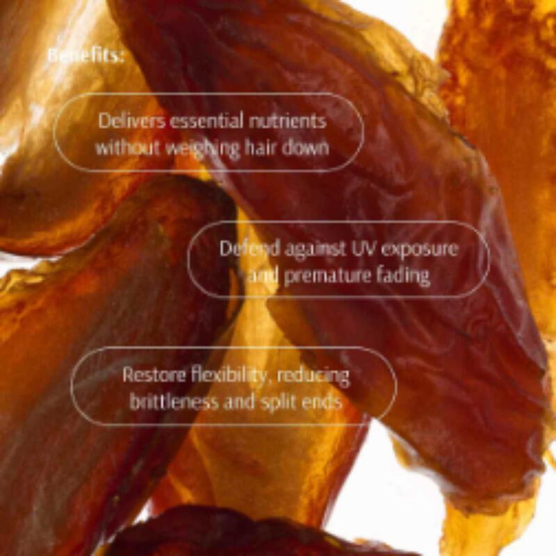 tara date+ multivitamin hair wellness system