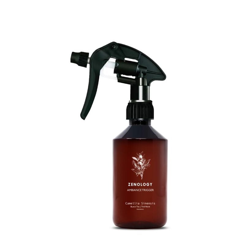 zenology camelia sinensis black tea
