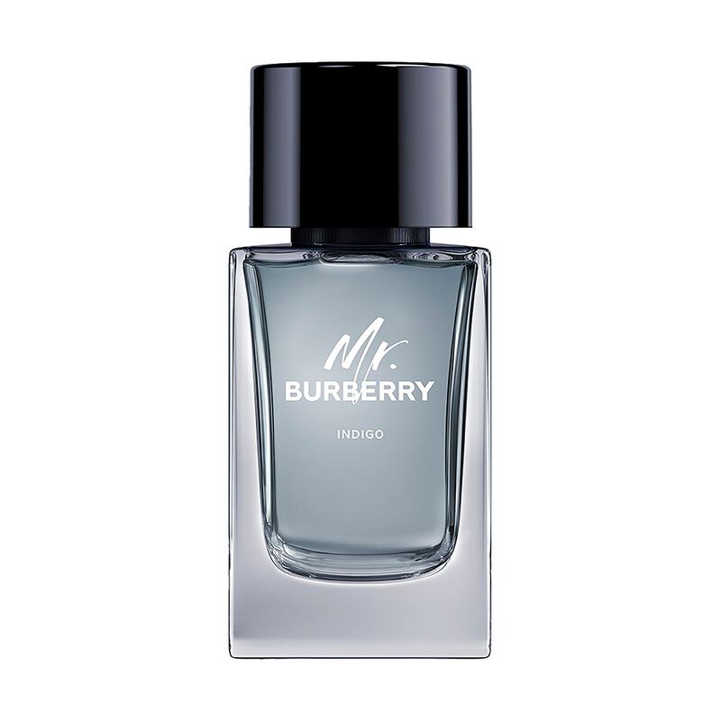 burberry mr. burberry indigo eau de toilette