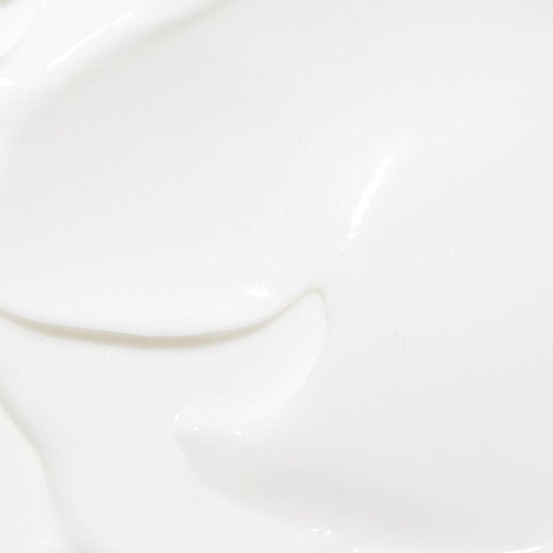 panier des sens intemporels honey hand cream