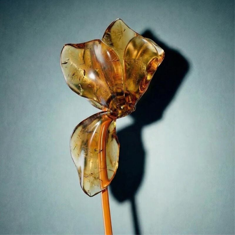 zenology ambra amber
