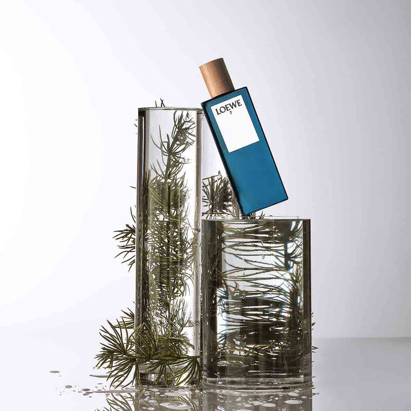 لووي  لويفي 7  أو دو تواليت