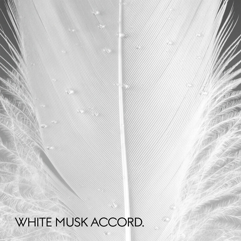 غوتشي ذا ألكيميستس غاردِن موسكيو دي لوتشي