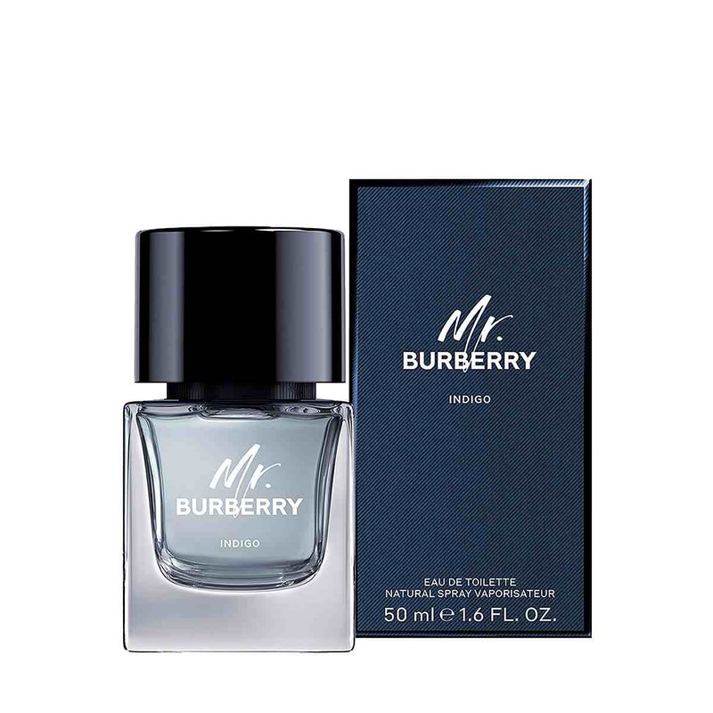 burberry mr. burberry indigo eau de toilette