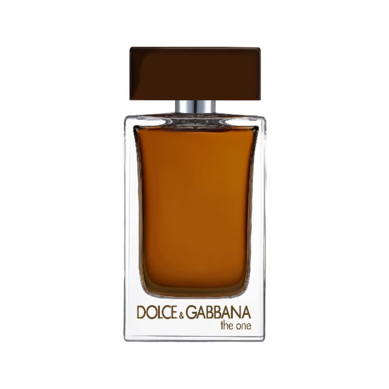 dolce & gabbana the one