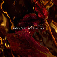 faces absolus allegoria patchouli ardent