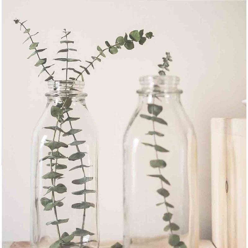 patrice mulato 2in1 shampoo 200ml