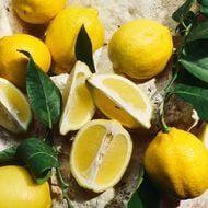 Light Blue faces light blue