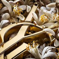 faces libre vanille couture