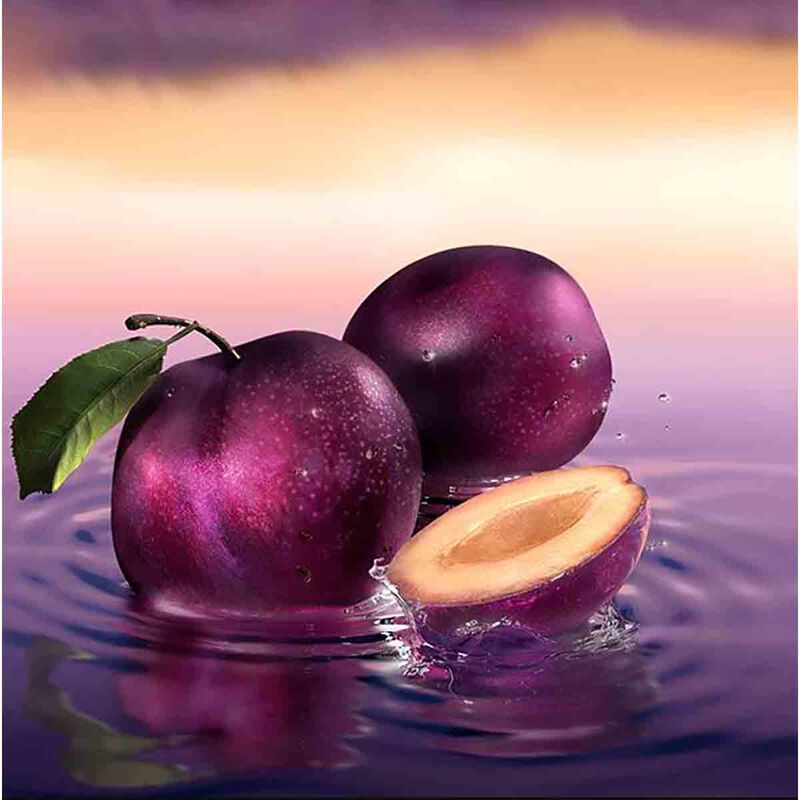 estee lauder sensuous stars eau de parfum