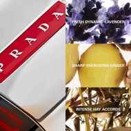 Luna Rossa Sport Eau de Toilette faces luna rossa sport eau de toilette