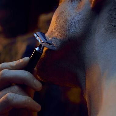 faces sauvage shaving gel 125ml