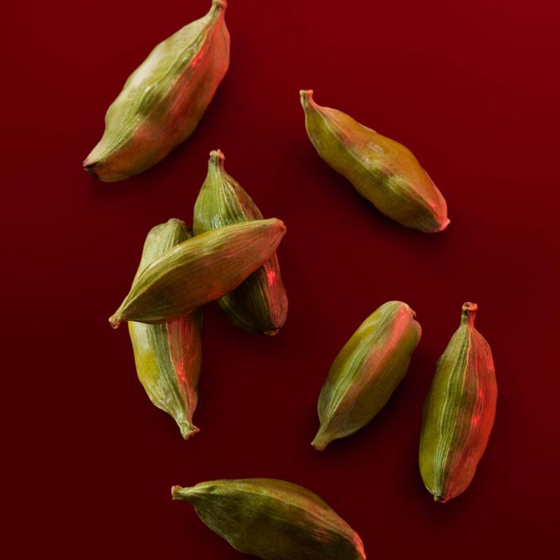 كارولينا هيريرا أمازونيا روز