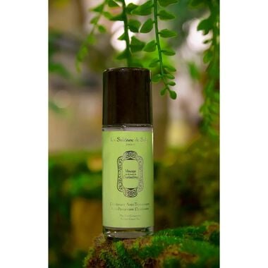 Green Tea And Ginger Anti Perspirant faces green tea and ginger anti perspirant