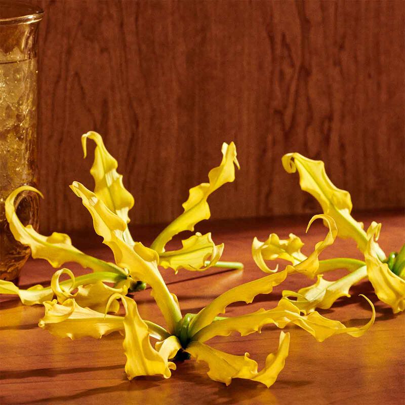 غوتشي عطر غيلتي إنتينس أو دو برفان للنساء