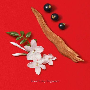 faces si passione refill