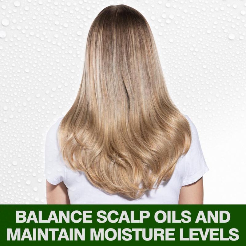 chi chi tea tree shampoo 340ml