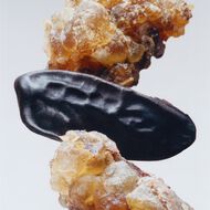 faces myrrh   tonka all over body spray