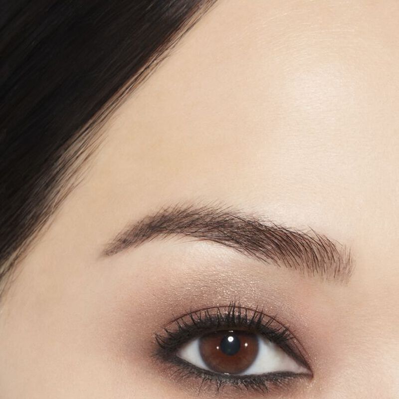 chanel ombre premiere