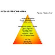 faces intense french riviera