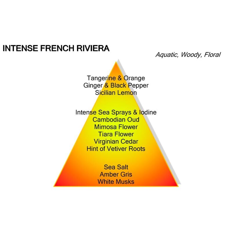 mancera intense french riviera