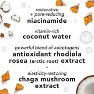 faces facial spray with aloe  adaptogens and coconut