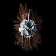 faces مجاناً جفنشي جنتل مان سوسايتي اكستريم 100مل