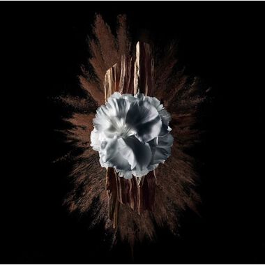 faces مجاناً جفنشي جنتل مان سوسايتي اكستريم 100مل