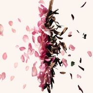 Irresistible Eau de Parfum faces irresistible eau de parfum