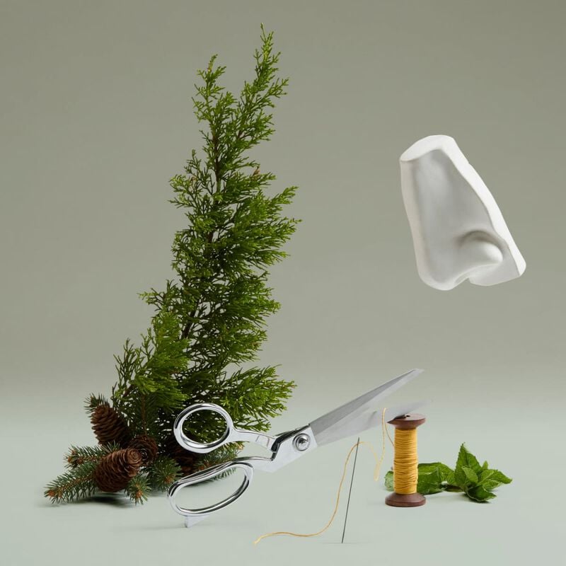 بنهالغنز the cut