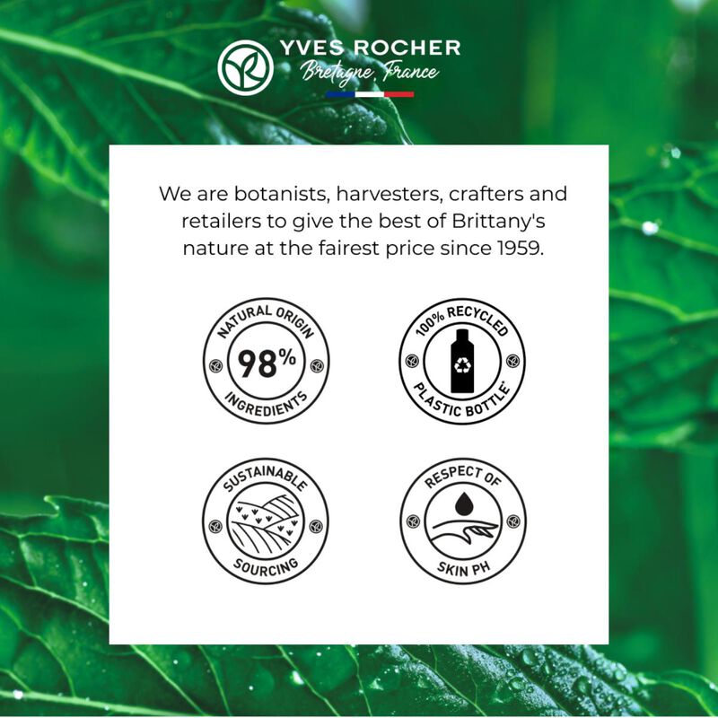 yves rocher غسول مسحوق مطفأ اللمعة من بيور مينث، 150 مل