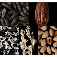 مجموعة الهدايا جود جيرل faces مجموعة الهدايا جود جيرل