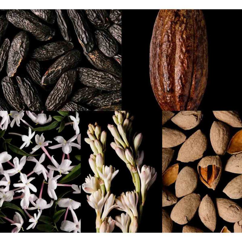 كارولينا هيريرا مجموعة الهدايا جود جيرل