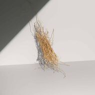 faces defy eau de toilette for men