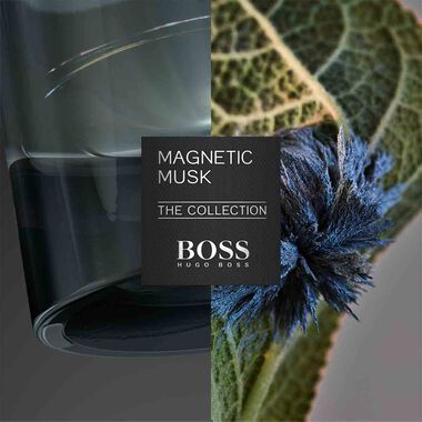 faces boss the collection eau de parfum magnetic musk 100ml