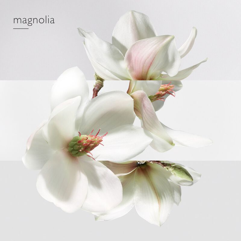 hermes jardin sur la lagune edt 50ml