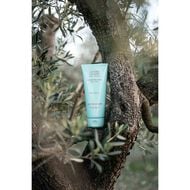 Le Soin Lavant Corps Et Cheveux - Cleansing Care Body Hair 200ml faces le soin lavant corps et cheveux cleansing care body hair 200ml