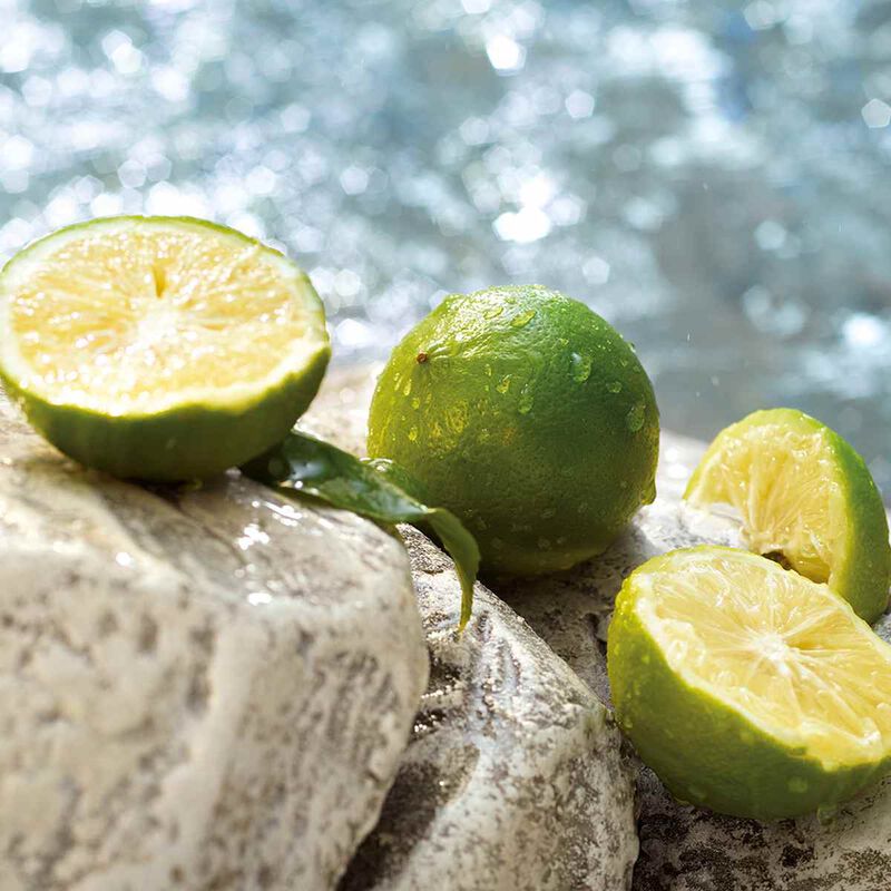 دولتشي أند غابانا لايت بلو سامر فايبز