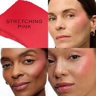 Teint Idole Shape Sticks Multi-Use Stick faces teint idole shape sticks multi use stick