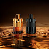 Forever Wanted Absolu faces forever wanted absolu