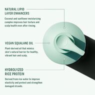 faces shampoo   cypress