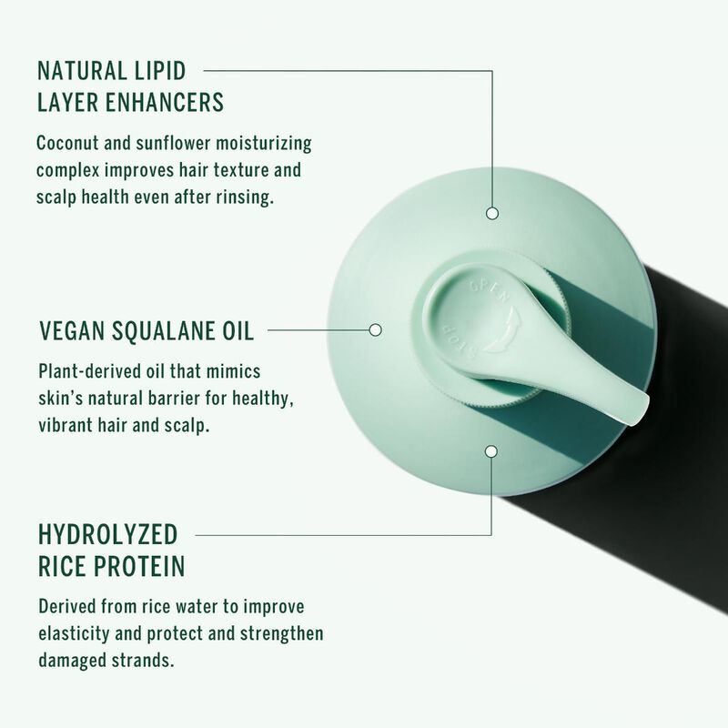 corpus naturals shampoo  cypress