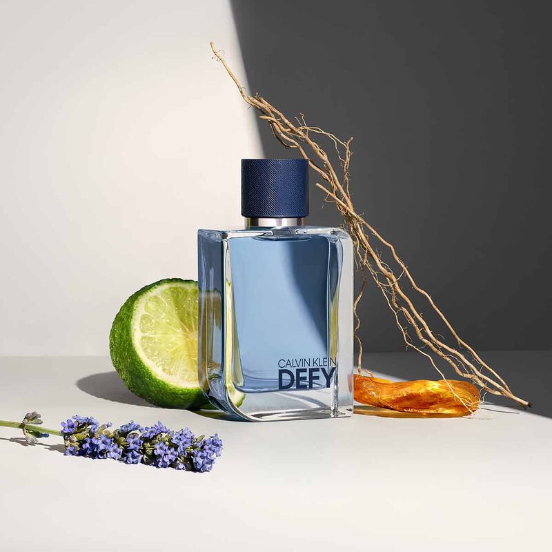 calvin klein defy eau de toilette for men