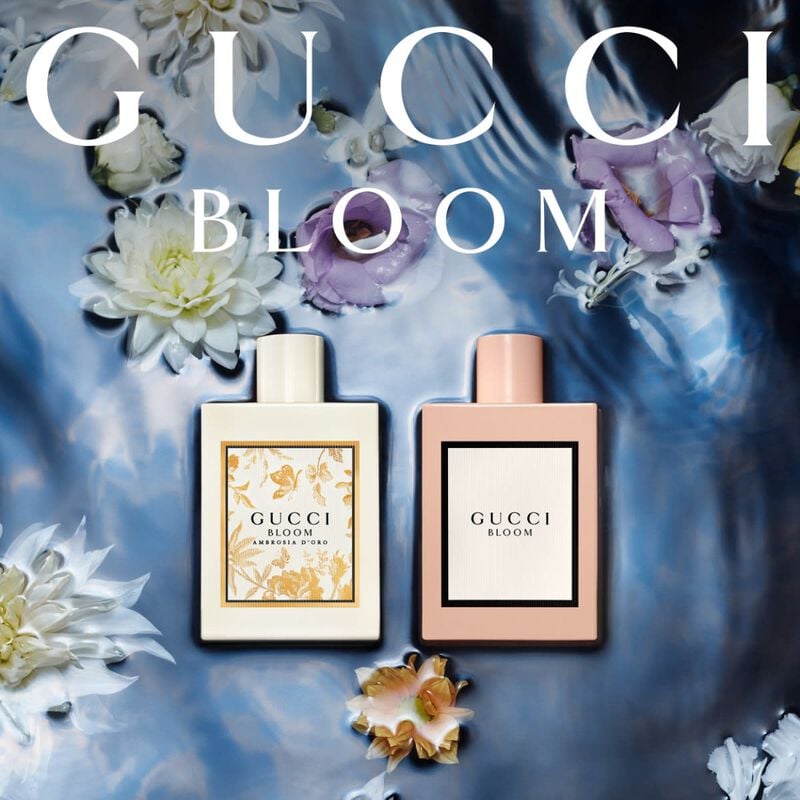 gucci bloom ambrosia d'oro