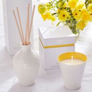 معطر الجو صوفي كونران 200مل - الهدف faces معطر الجو صوفي كونران 200مل الهدف